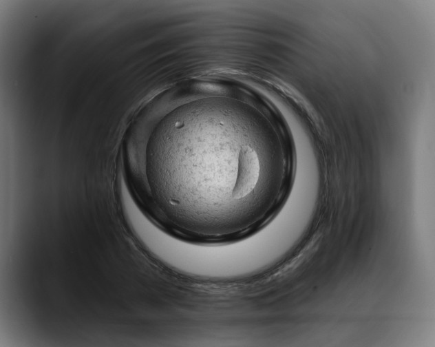 X0000088650785200705251501