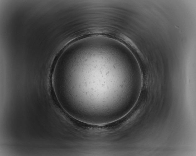X0000088650786200705251501
