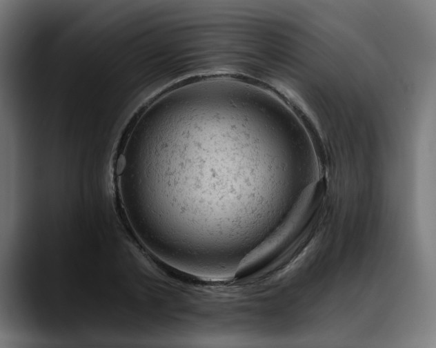 X0000088650789200705251501