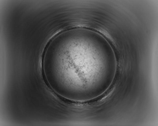 X0000088650790200705251501