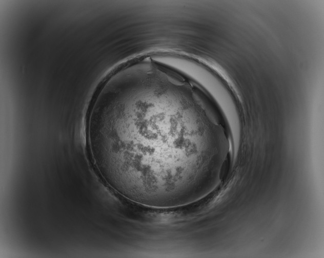 X0000088650791200705251501