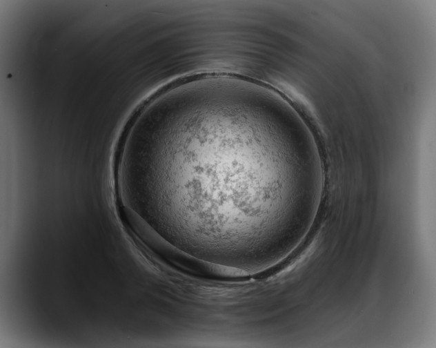 X0000088650792200705251500