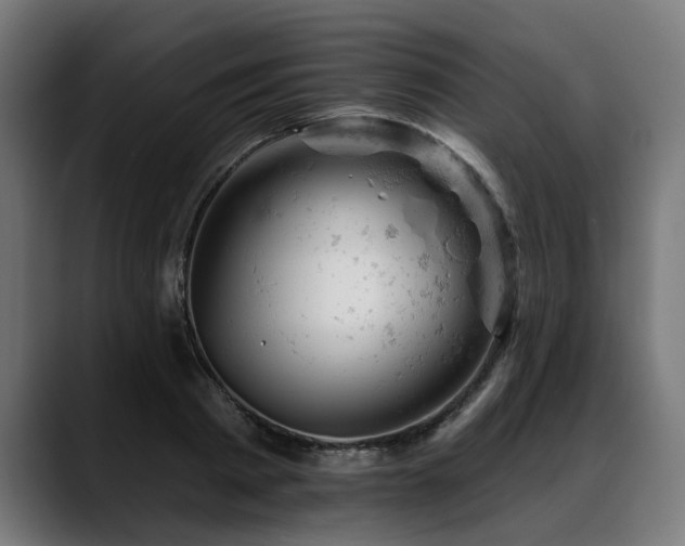 X0000088650793200705251500
