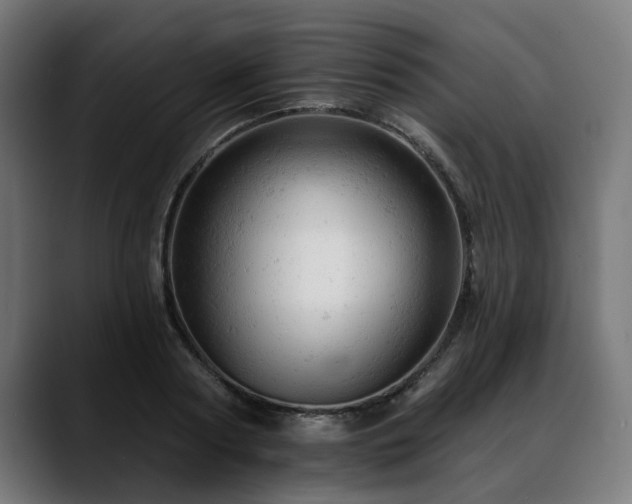 X0000088650794200705251500