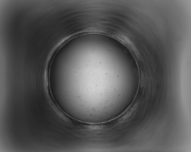 X0000088650796200705251500