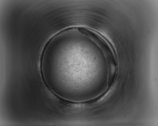 X0000088650797200705251500