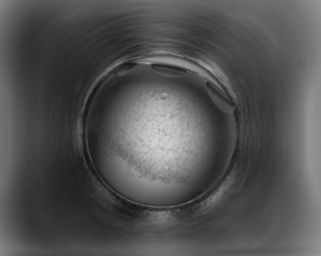 X0000088650798200705251500