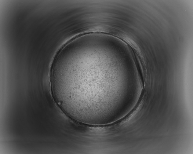 X0000088650800200705251500