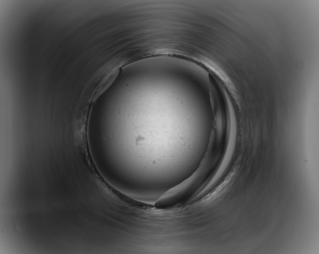 X0000088650801200705251500