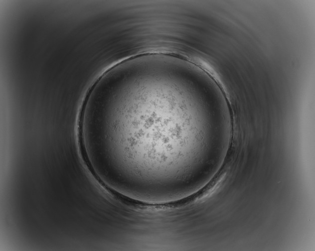 X0000088650803200705251500