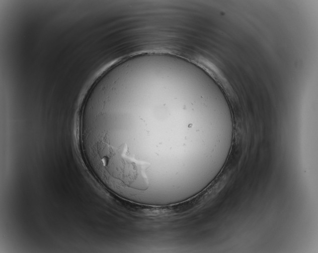 X0000088650804200705251500