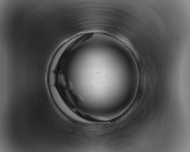 X0000088650805200705251500