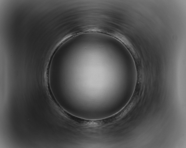 X0000088650806200705251500