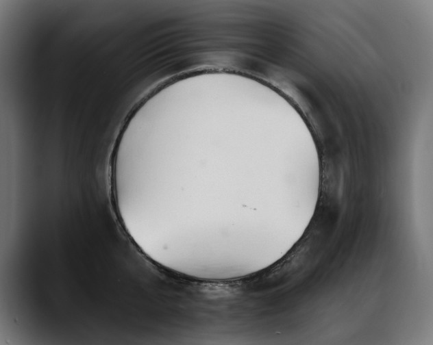 X0000088650807200705251500