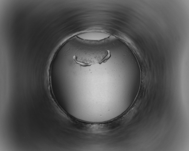 X0000088650808200705251500