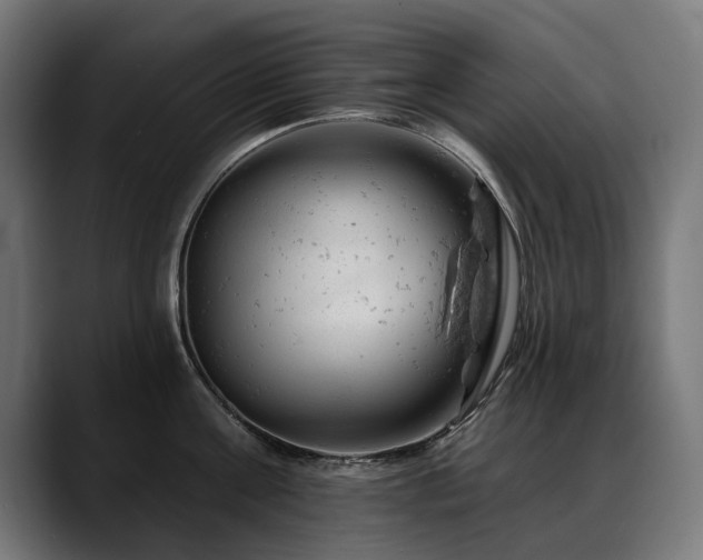 X0000088650811200705251500