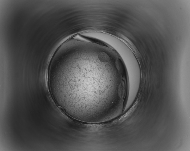 X0000088650812200705251500