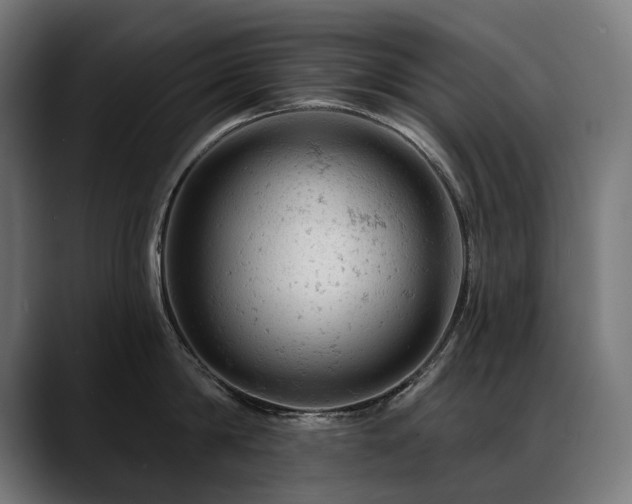 X0000088650814200705251500