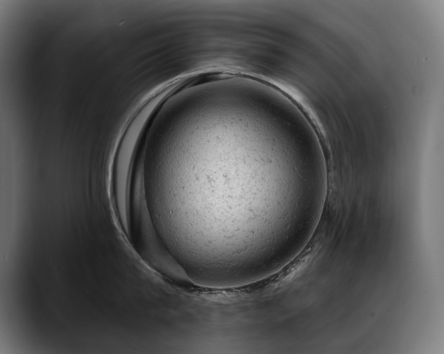 X0000088650815200705251500
