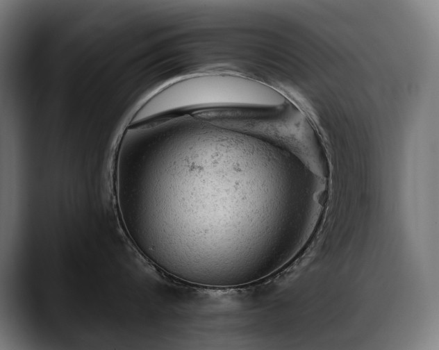 X0000088650816200705251500