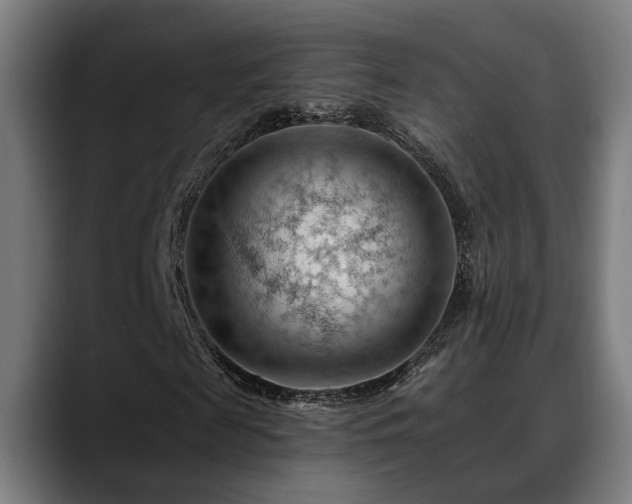 X0000088650817200705251500