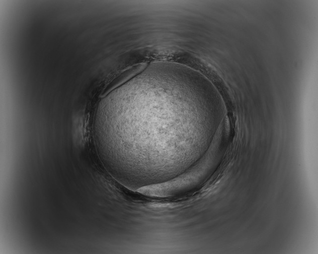 X0000088650818200705251500