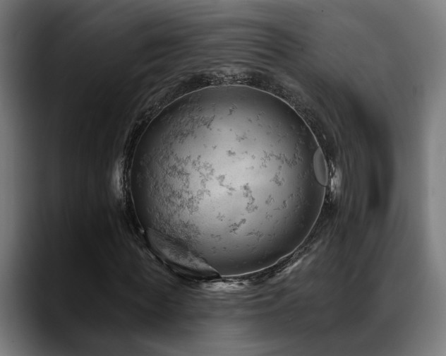 X0000088650819200705251500
