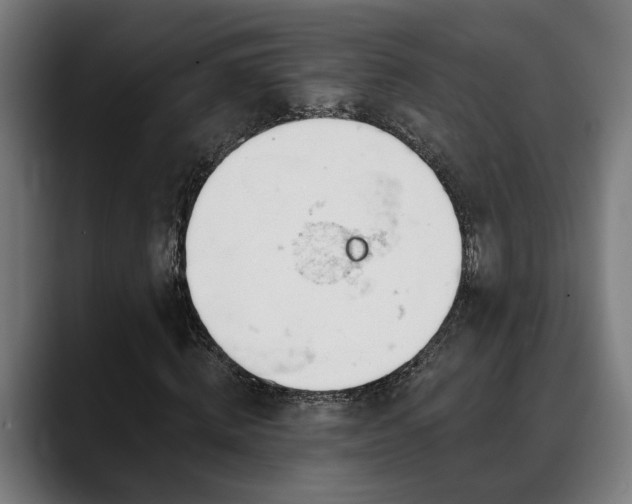 X0000088650820200705251500