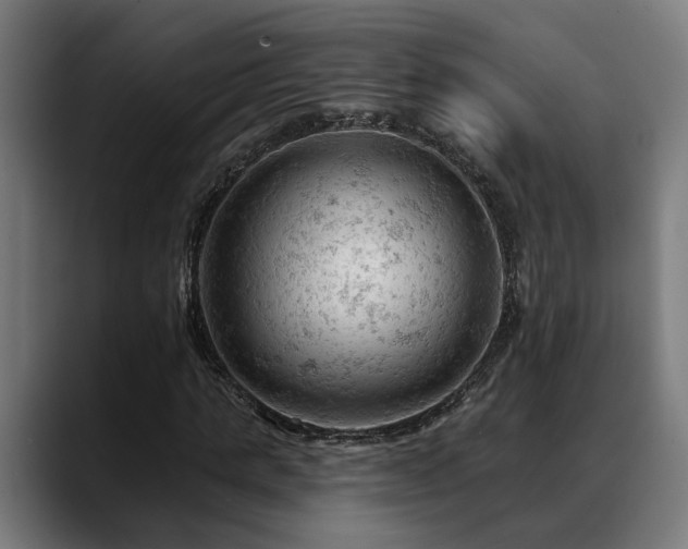 X0000088650821200705251500