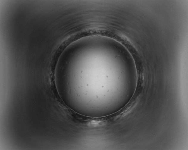 X0000088650822200705251500