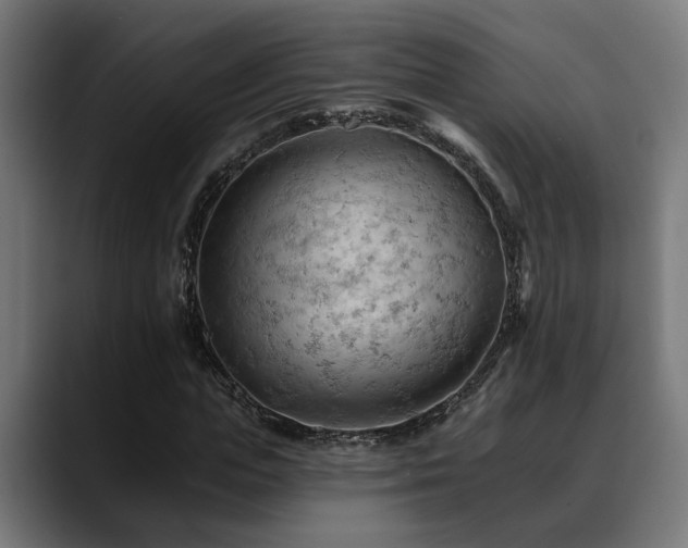 X0000088650823200705251500