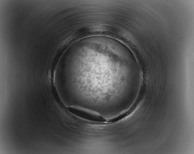 X0000088650825200705251500