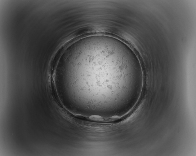X0000088650827200705251500