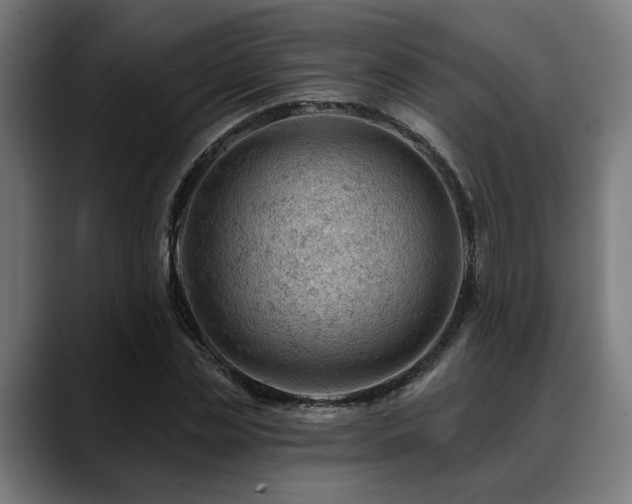 X0000088650829200705251500
