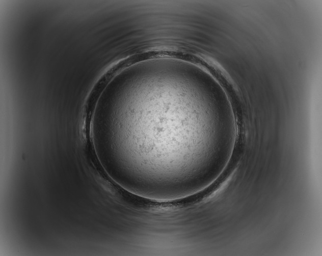X0000088650830200705251500
