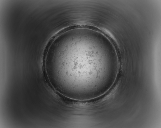 X0000088650831200705251500