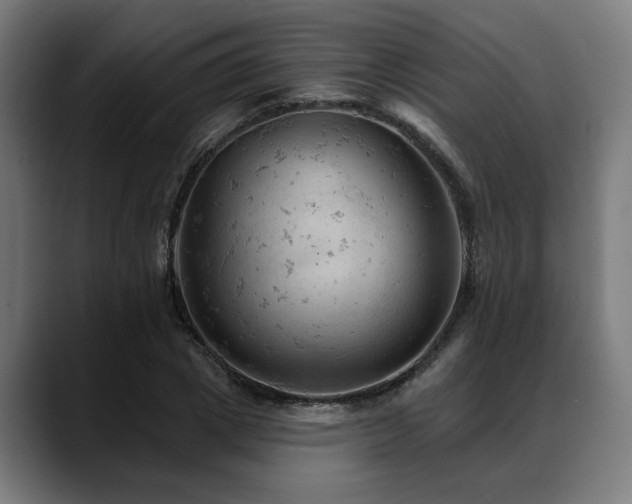 X0000088650833200705251500