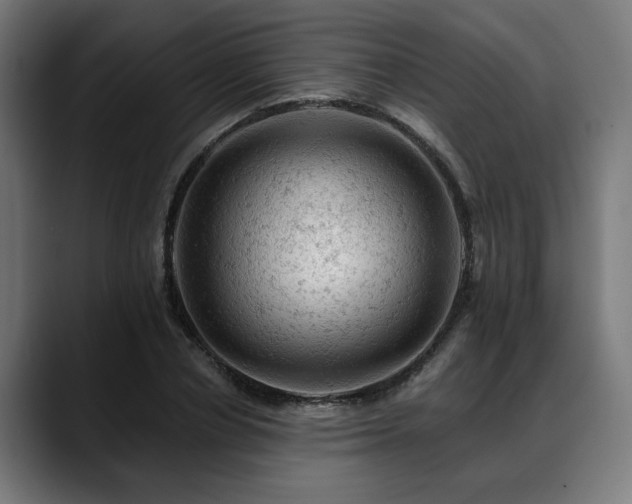 X0000088650834200705251500