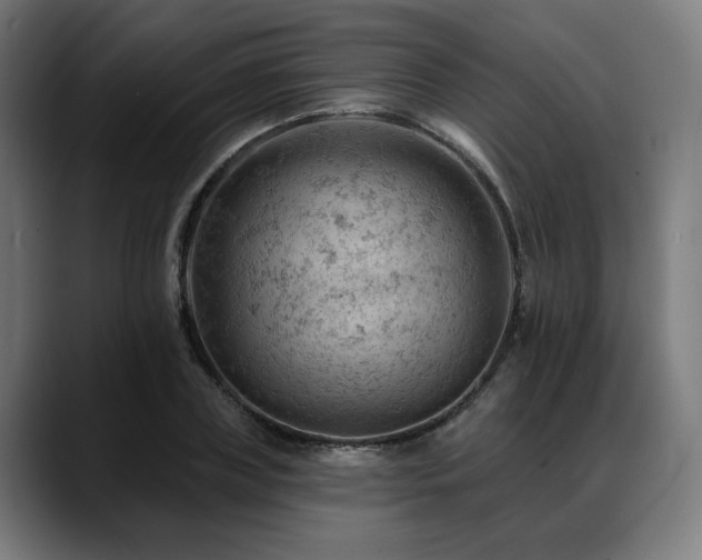 X0000088650835200705251500