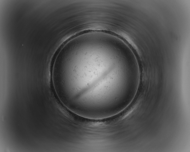 X0000088650837200705251500