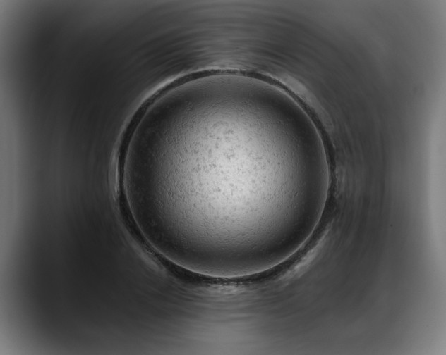 X0000088650838200705251500