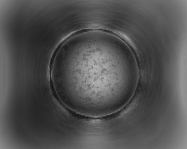 X0000088650839200705251500