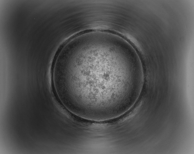 X0000088650840200705251500