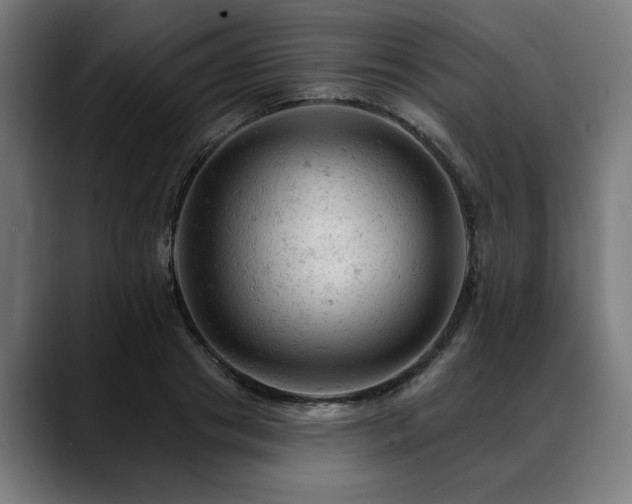 X0000088650841200705251500