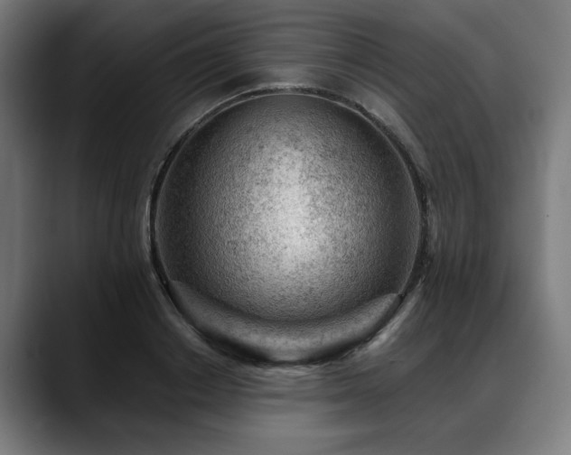 X0000088650842200705251500