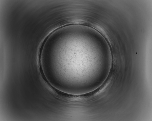 X0000088650843200705251500