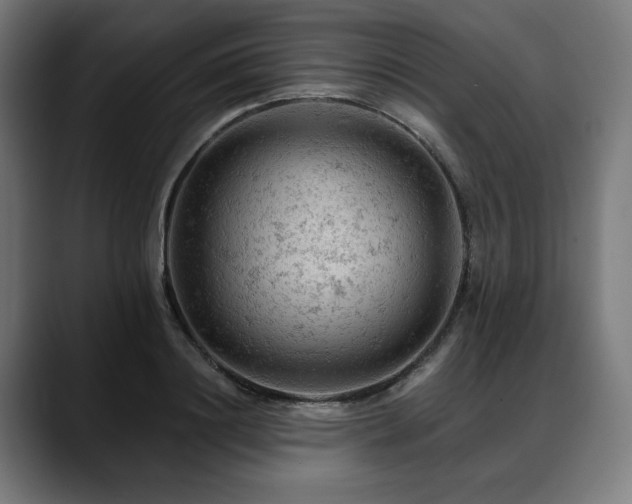 X0000088650844200705251500