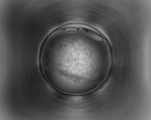 X0000088650845200705251500
