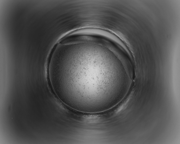 X0000088650846200705251500