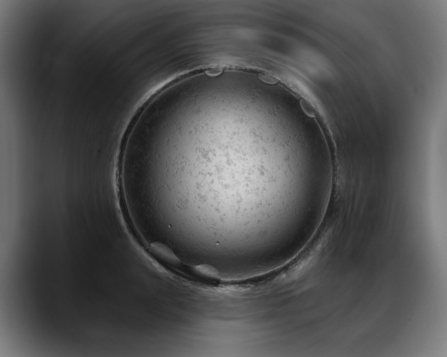 X0000088650847200705251500
